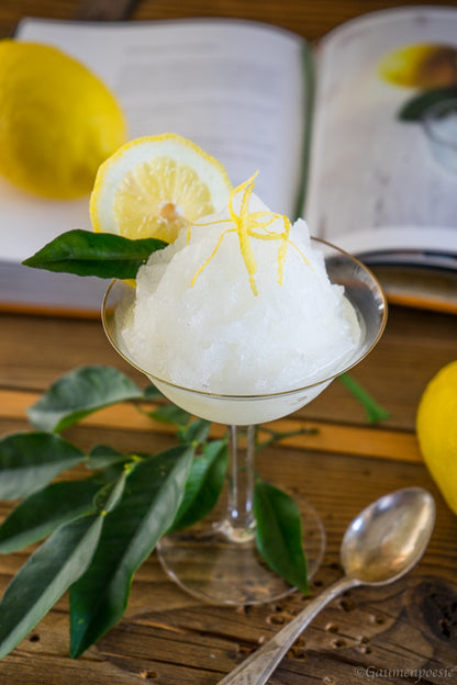 Frozen Sorbet Pulver Zitrone - 1000g Beutel